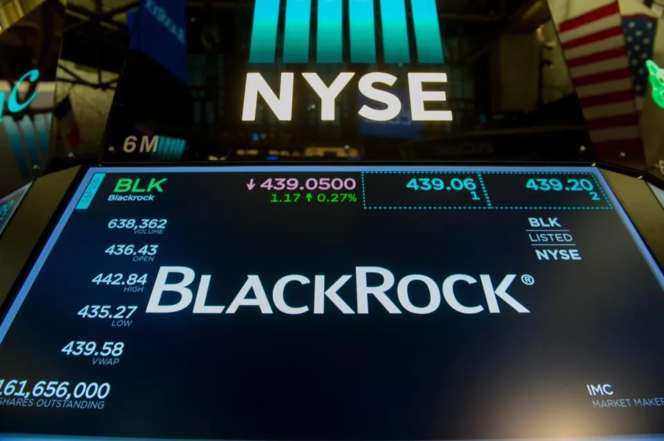BlackRock Stock