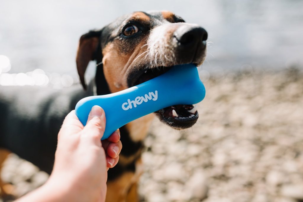 Chewy Stock